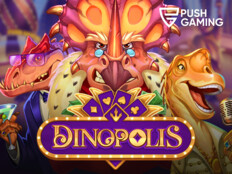 Casino bingo slots10